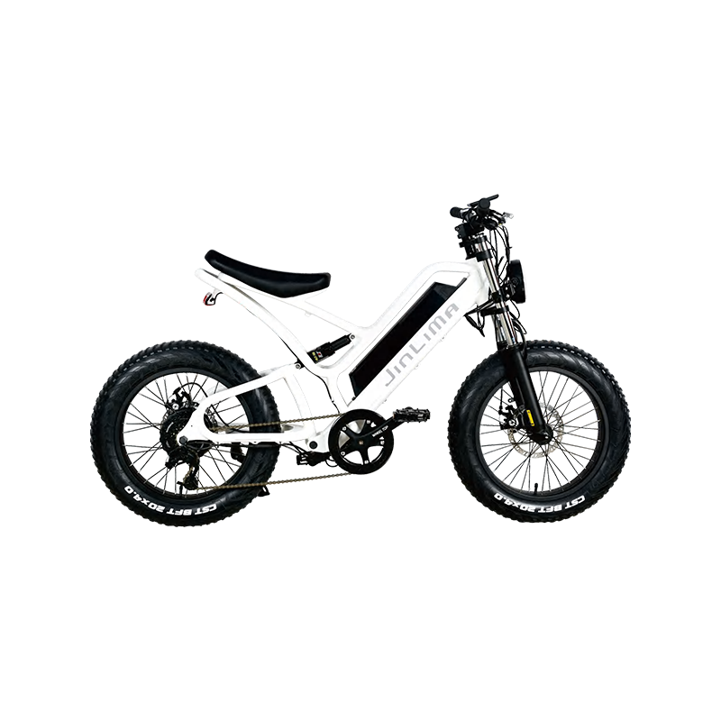 HYB-030 20 "Estep-in Commuter e-bike