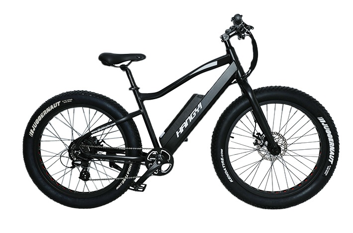 ปีใหม่เริ่มต้นจากการขี่ e-bike เพื่อออกกำลังกาย